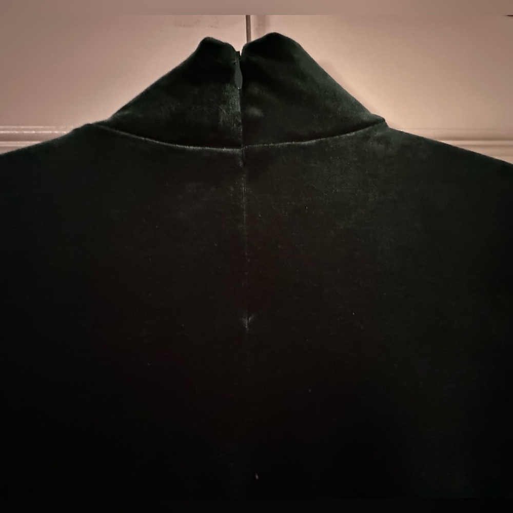 Gap Velvet Top - Picture 4 of 9